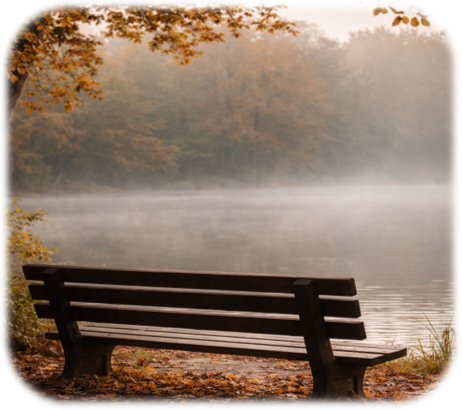 A quiet bench by the water